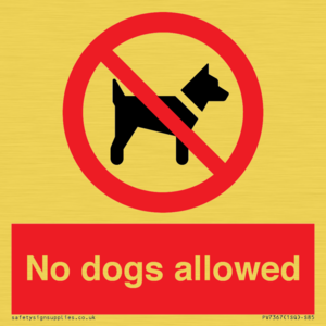 No dogs allowed